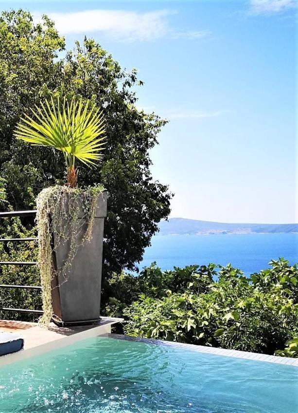 Art Gallery House With A Small Relaxing Pool Crikvenica Eksteriør bilde